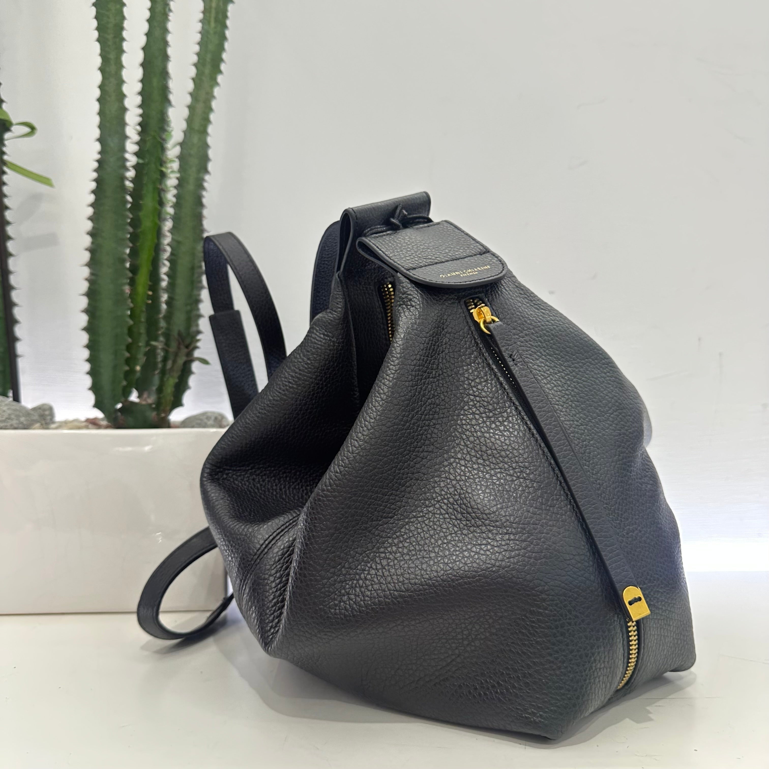 Gianni Chiarini borsa GUIA