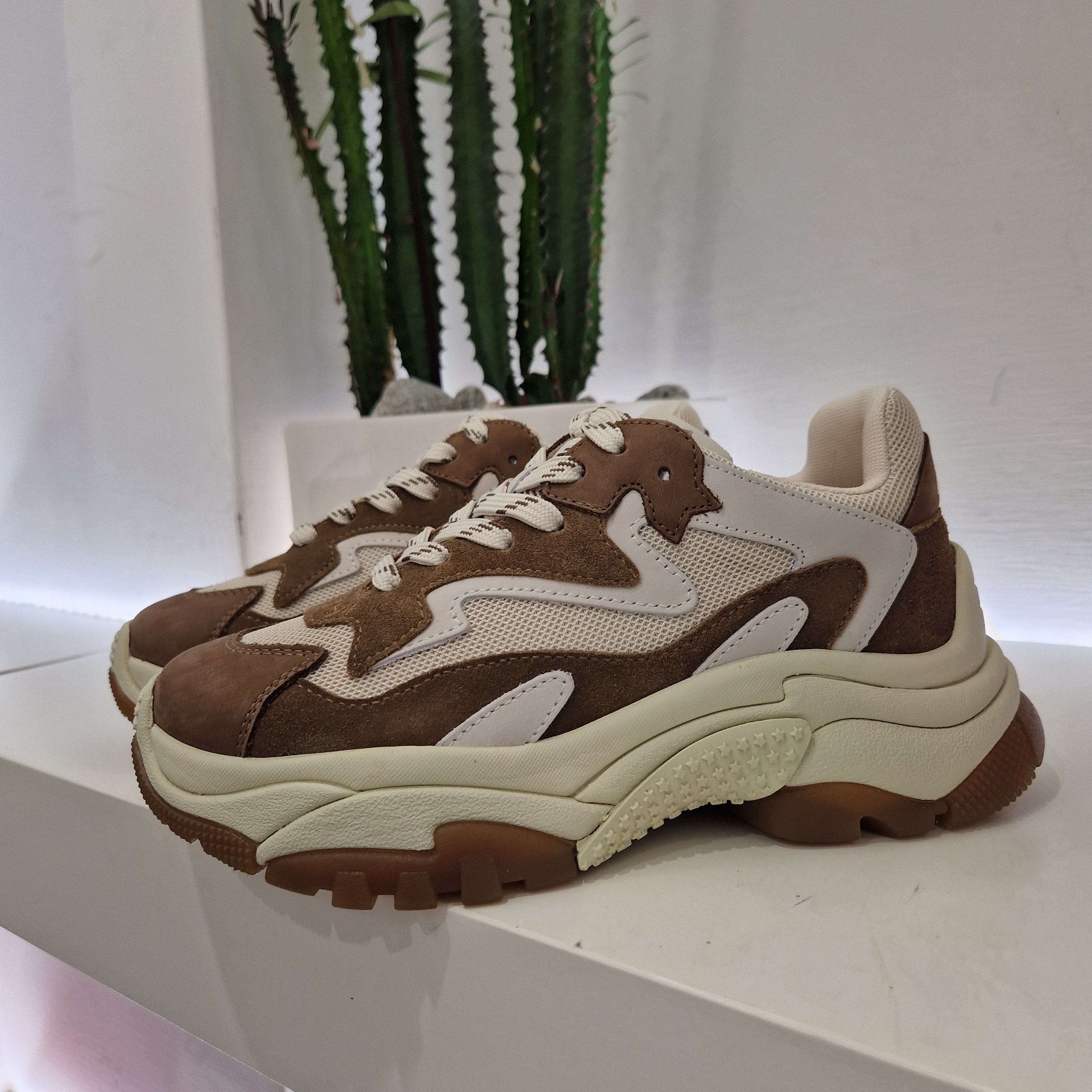 ASH sneakers ADDICT marrone e beige