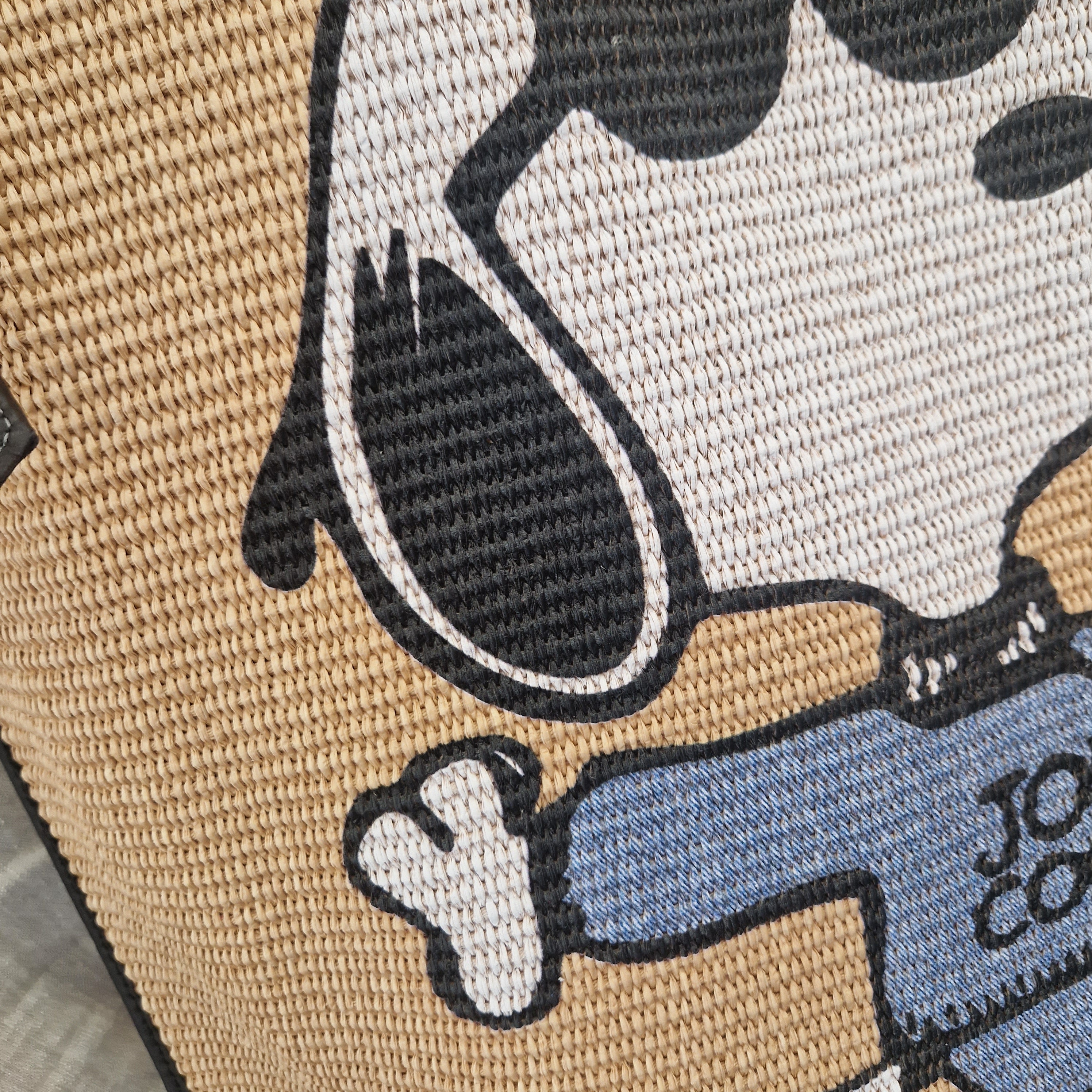 Anita Billiards bag