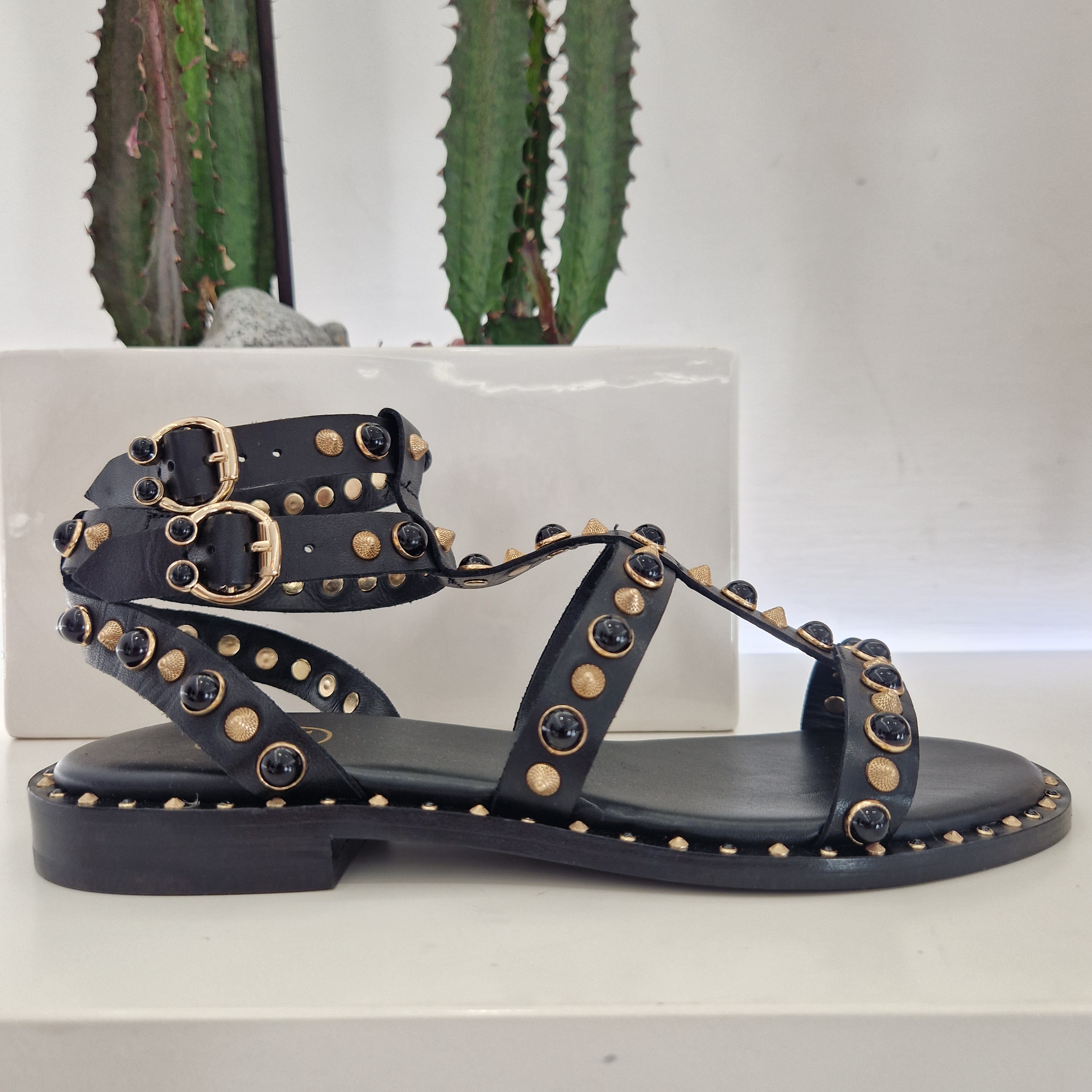 ASH sandali galdiatore modello Passion black