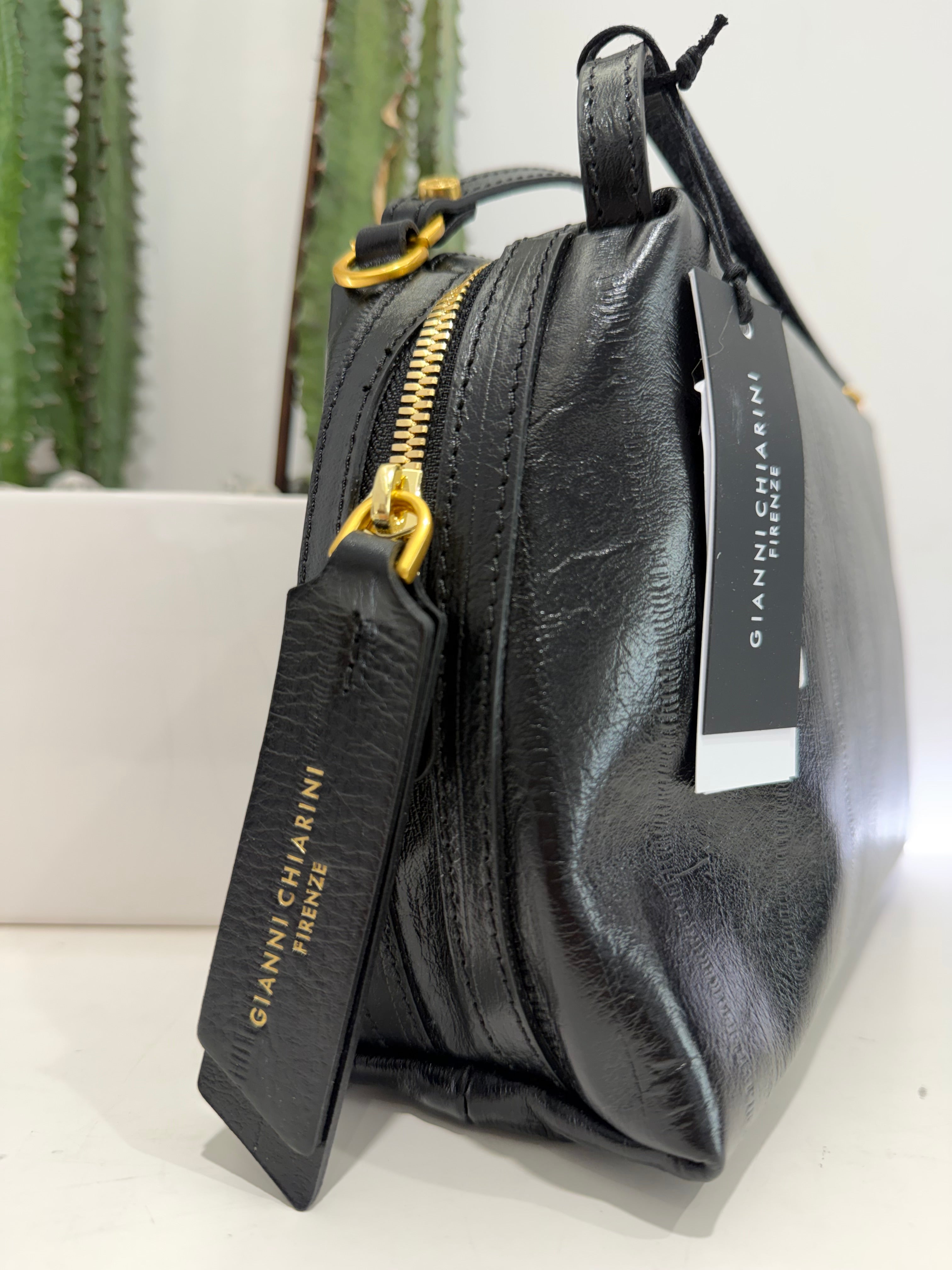 Gianni Chiarini borsa ALIFA (formato medio)