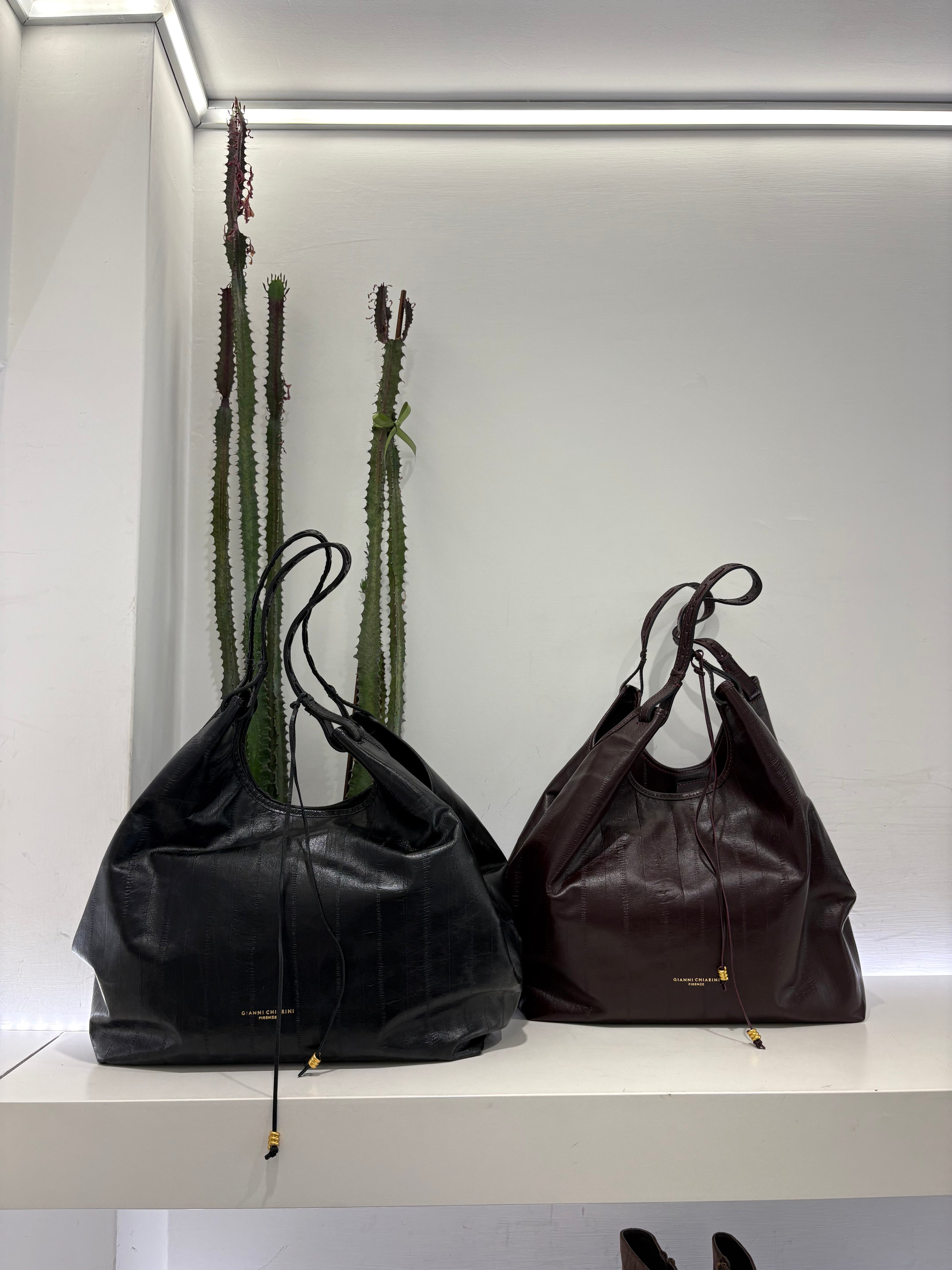 Gianni Chiarini DUA ANGUILLA (dimensione grande)