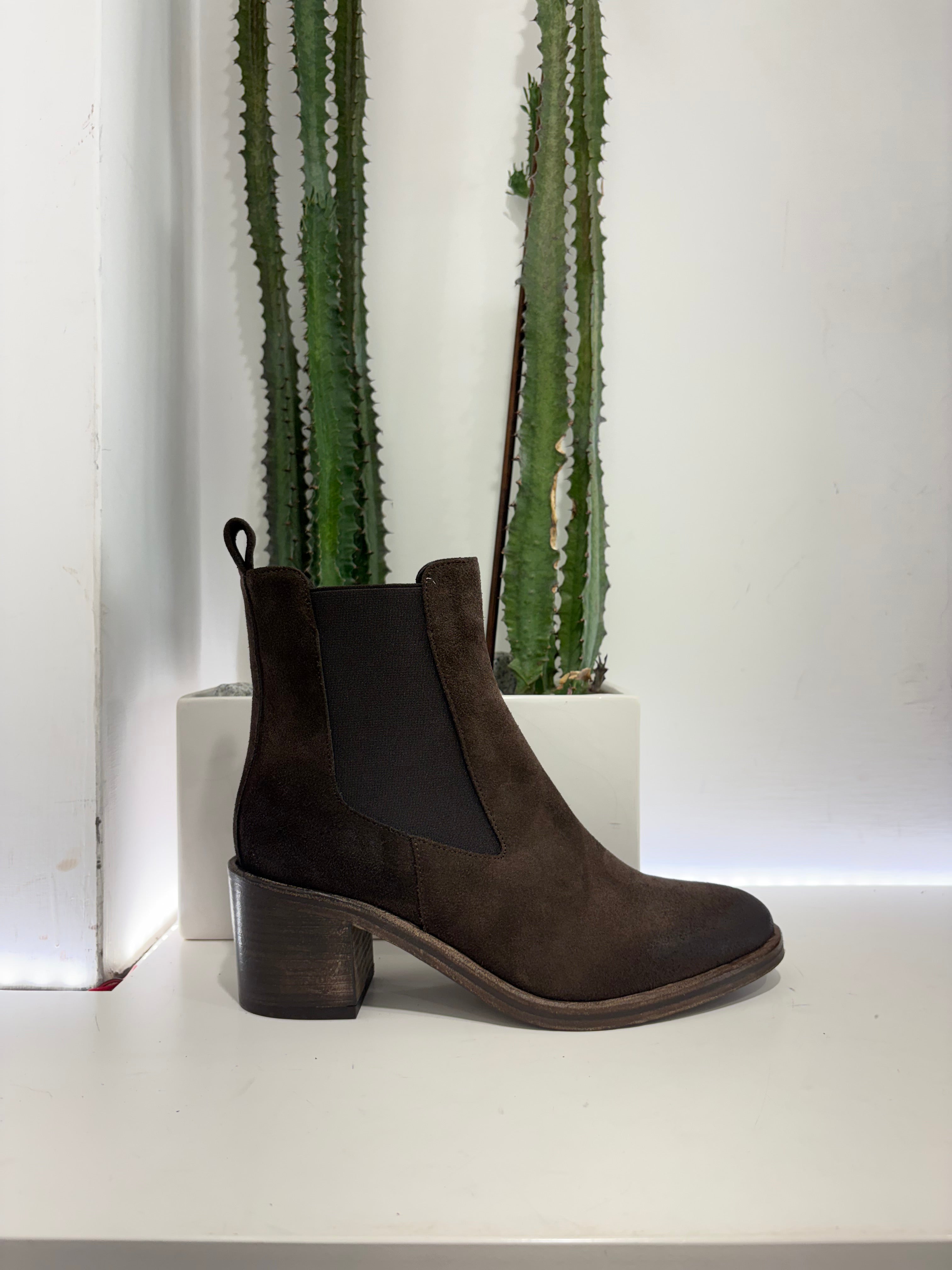 Beatles texano suede moro
