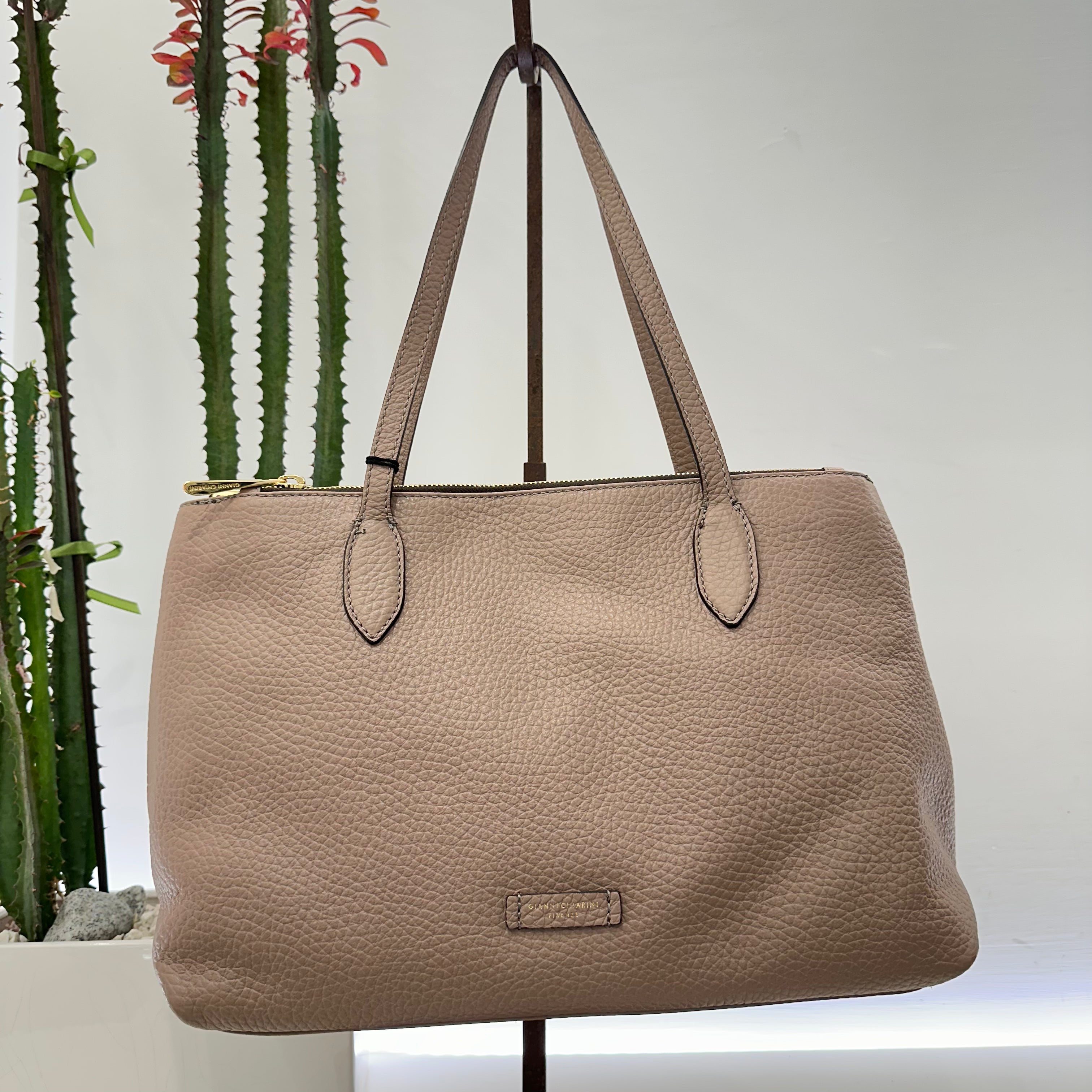 Gianni Chiarini borsa MARA dove
