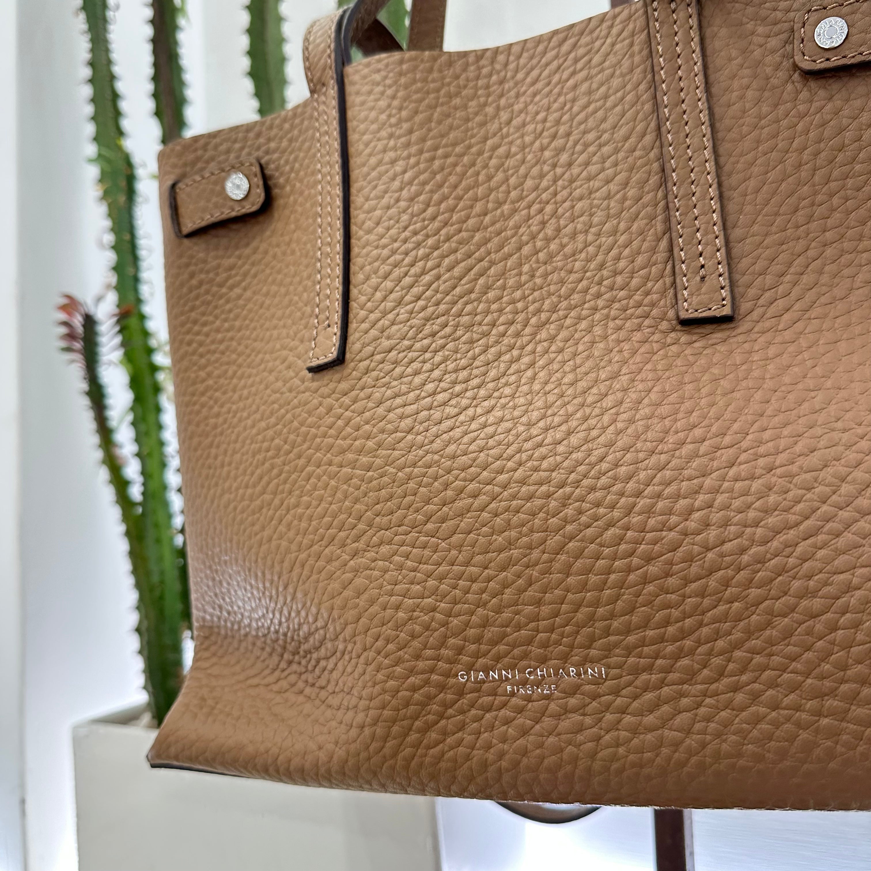 Gianni Chiarini borsa ALTEA castoro