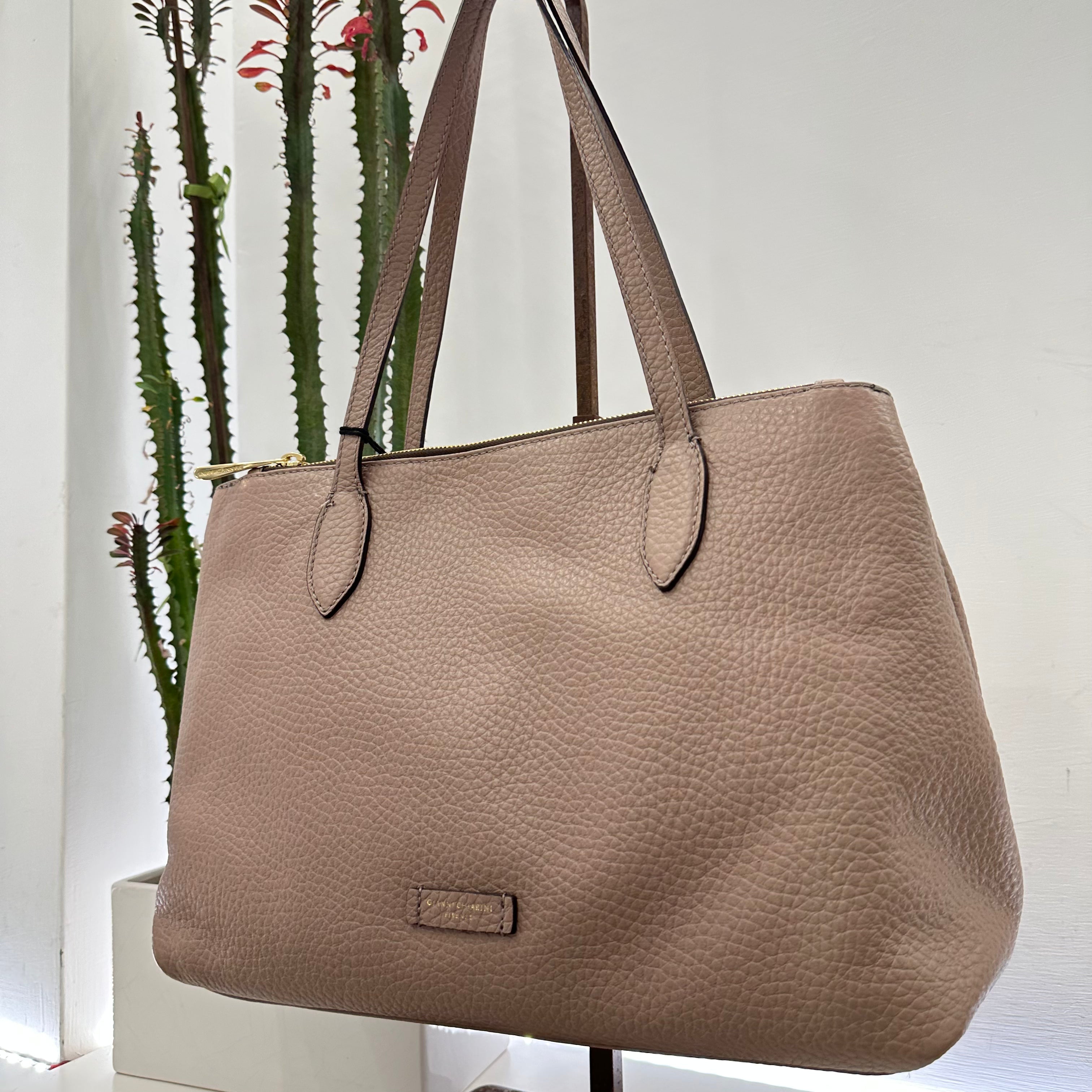 Gianni Chiarini borsa MARA dove