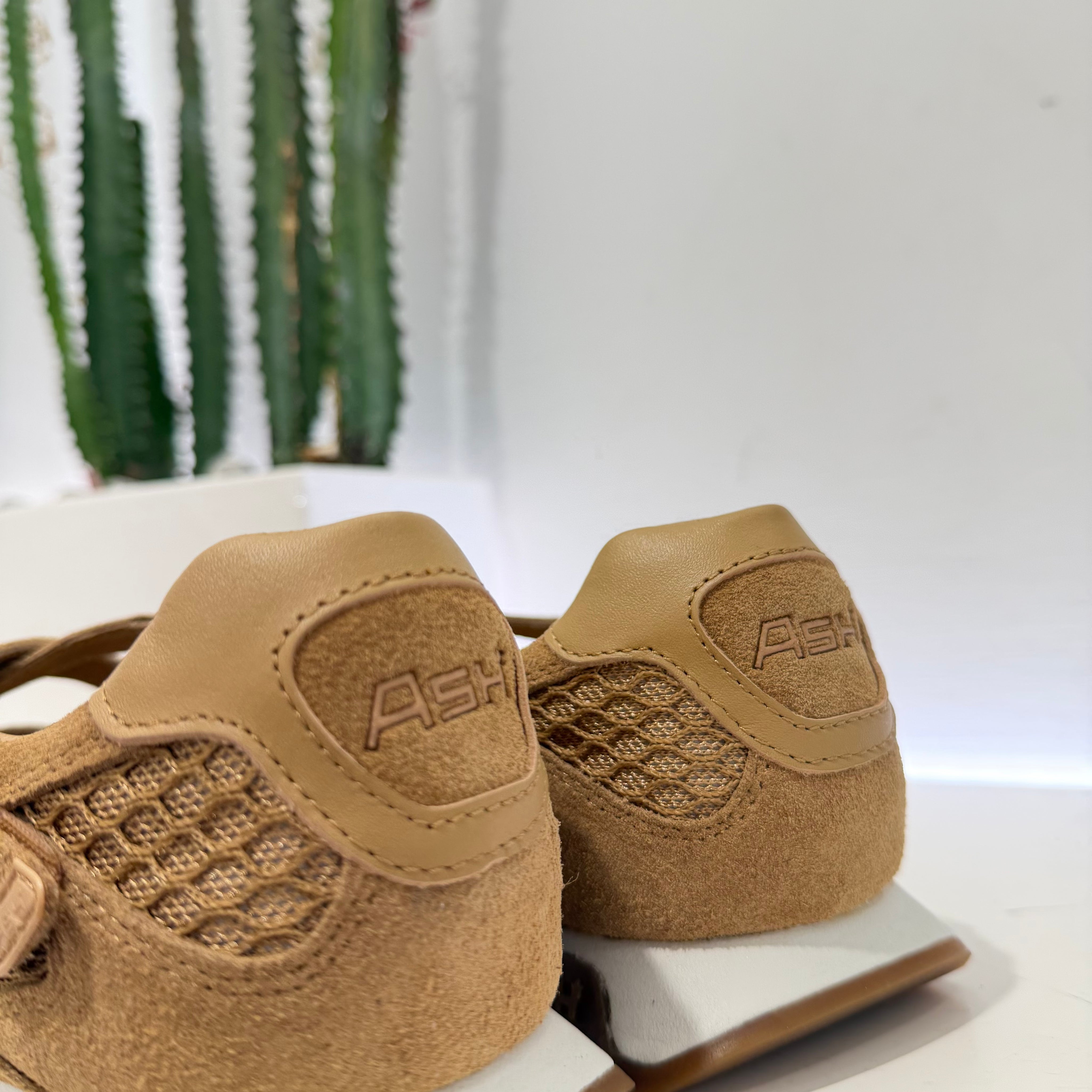 ASH sneakers SNEAKERINA desert/moka