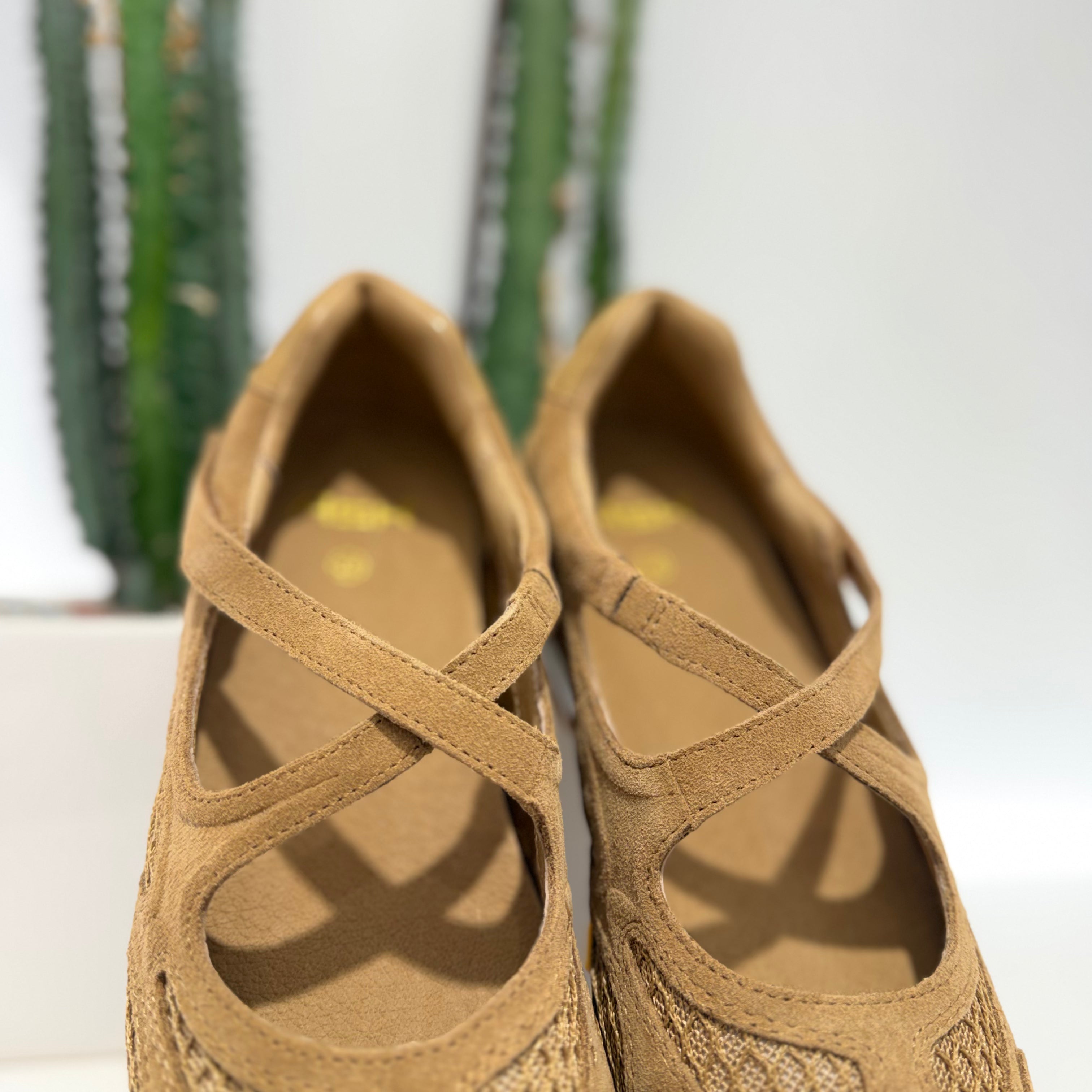 ASH sneakers SNEAKERINA desert/moka