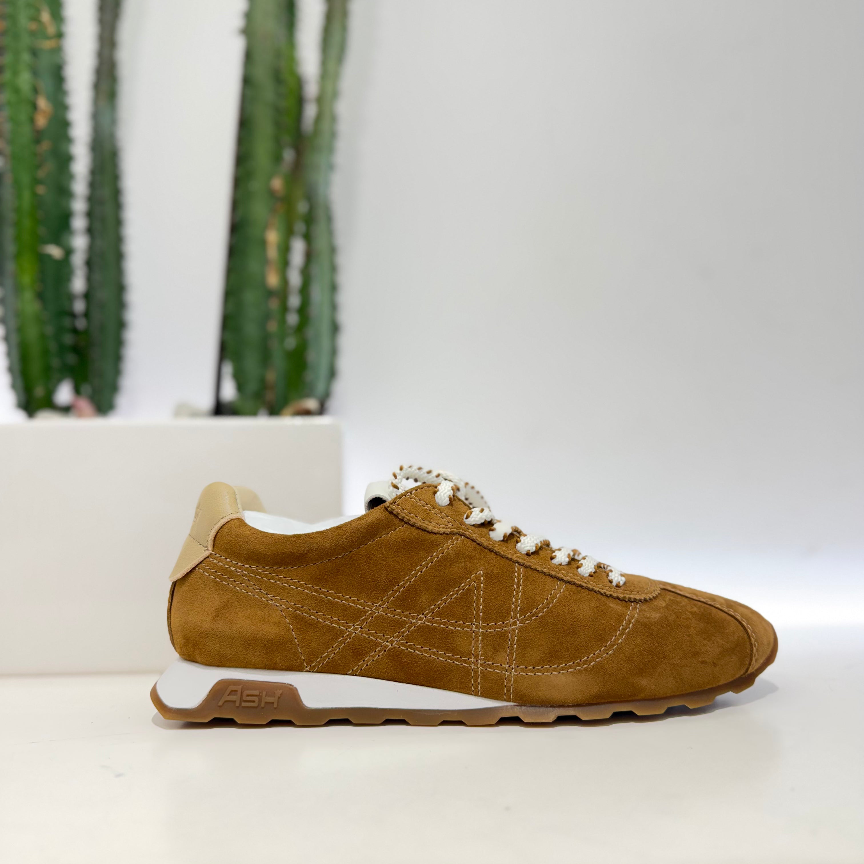 ASH sneakers FLAT KILL BILL marrone