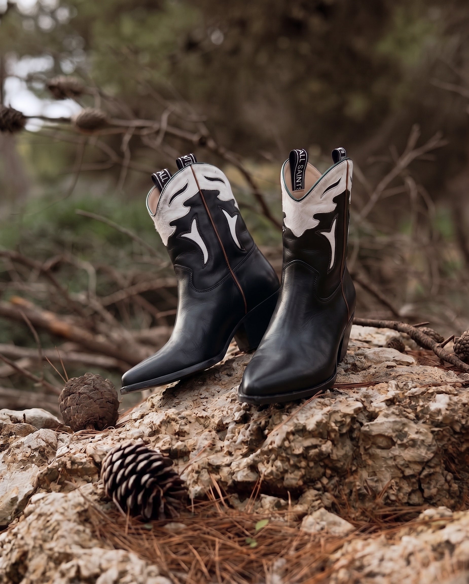 Scarpe