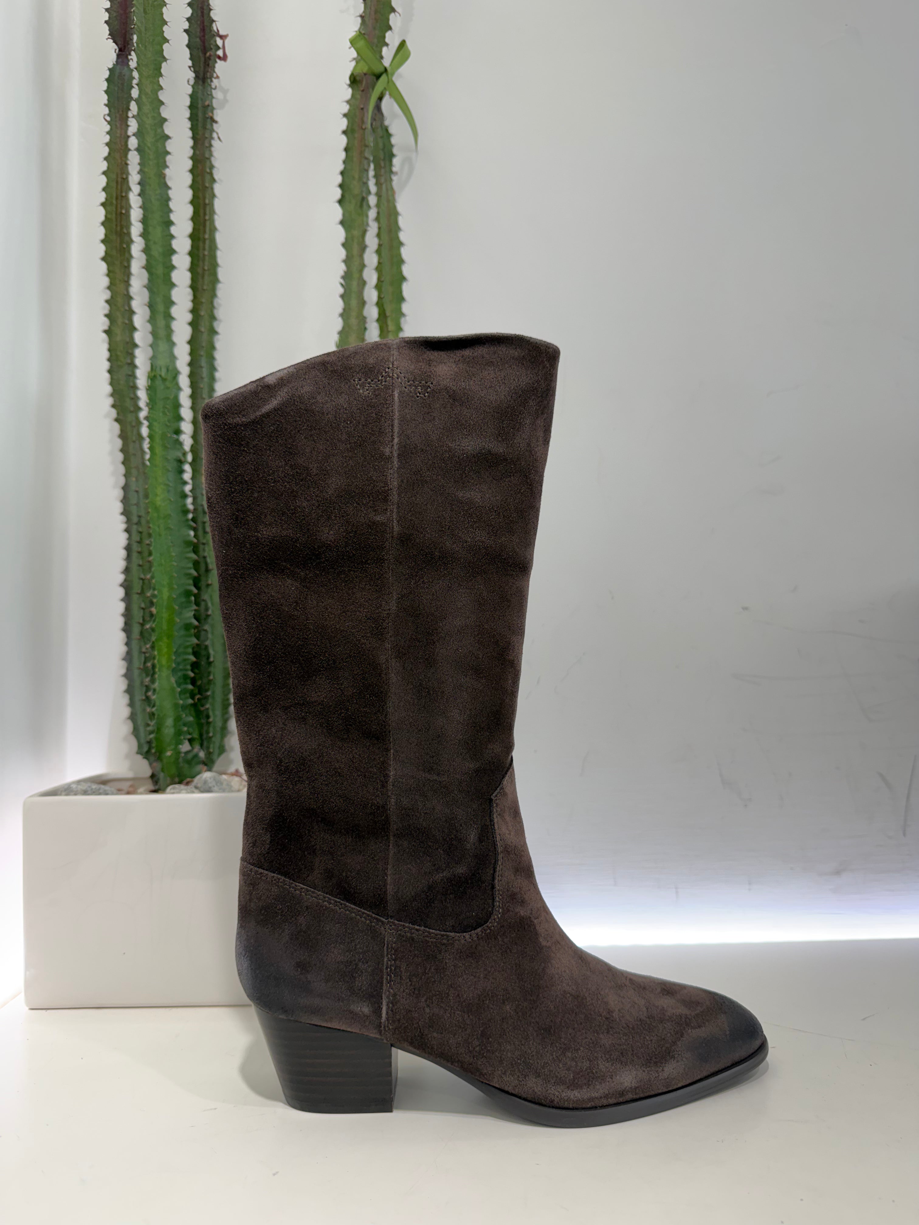 ASH sneakers FREEDOM texano suede moro