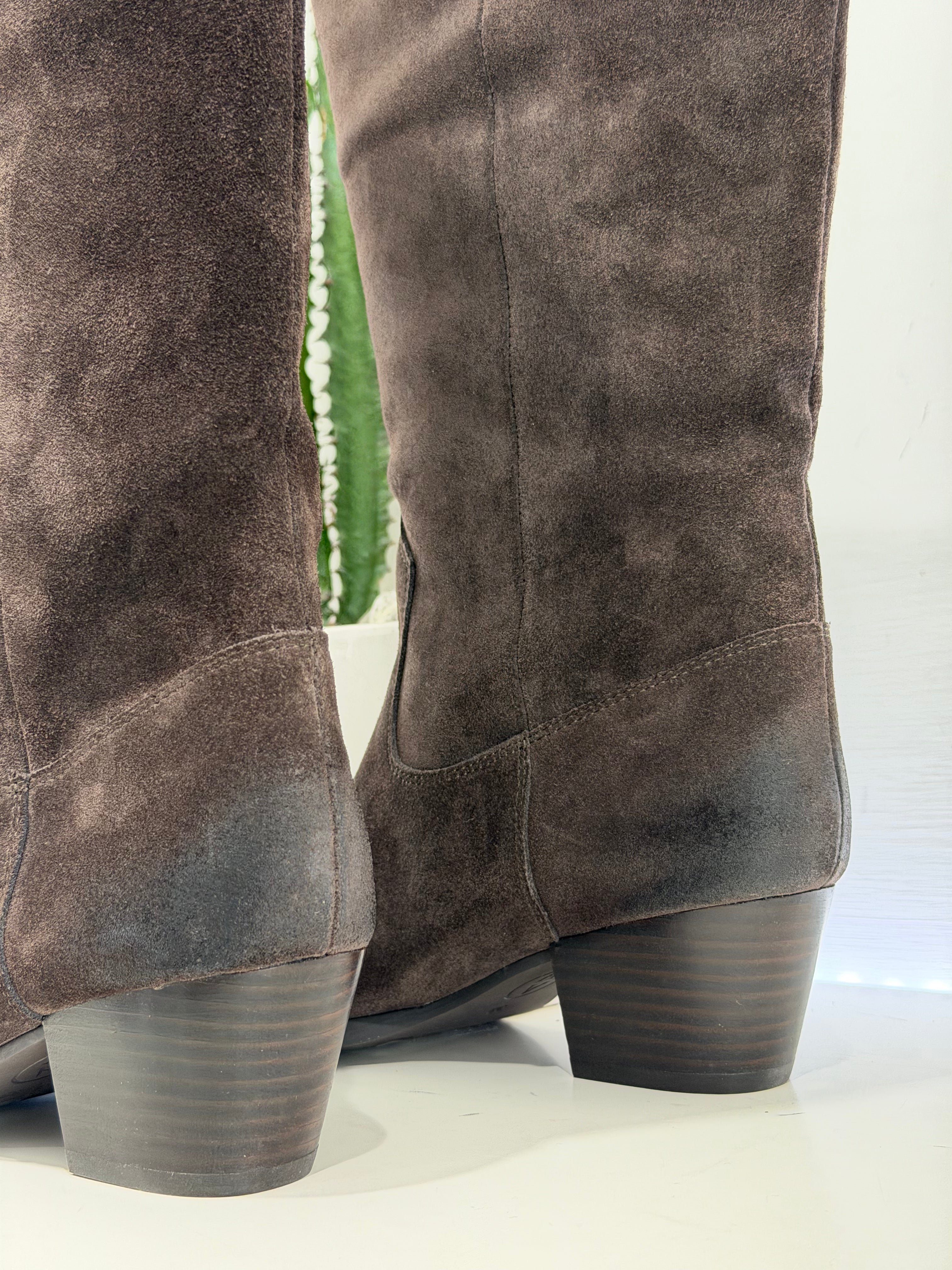 ASH sneakers FREEDOM texano suede moro