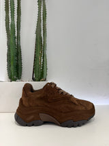 ASH sneakers ADDICT testa di moro