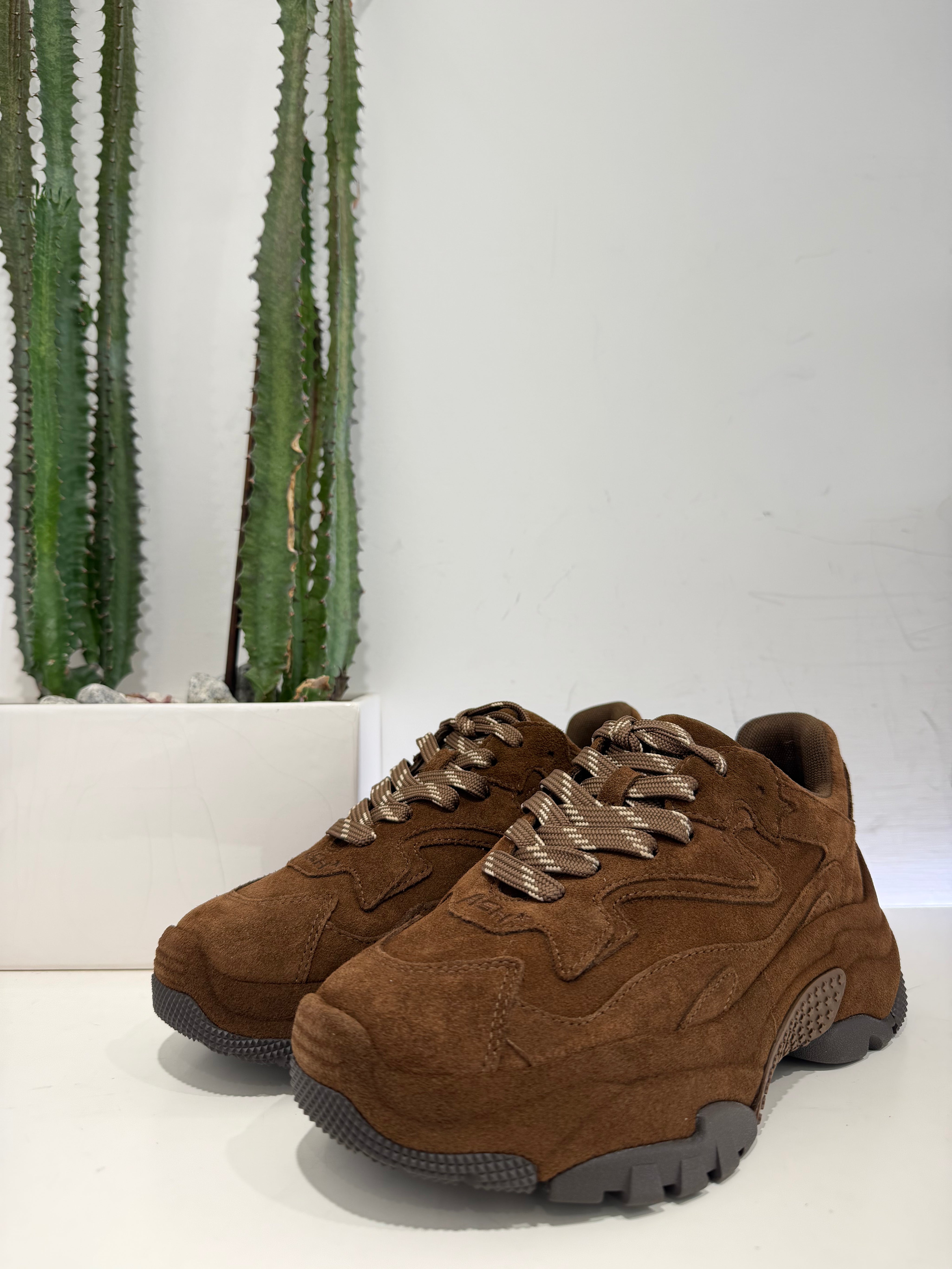 ASH sneakers ADDICT testa di moro