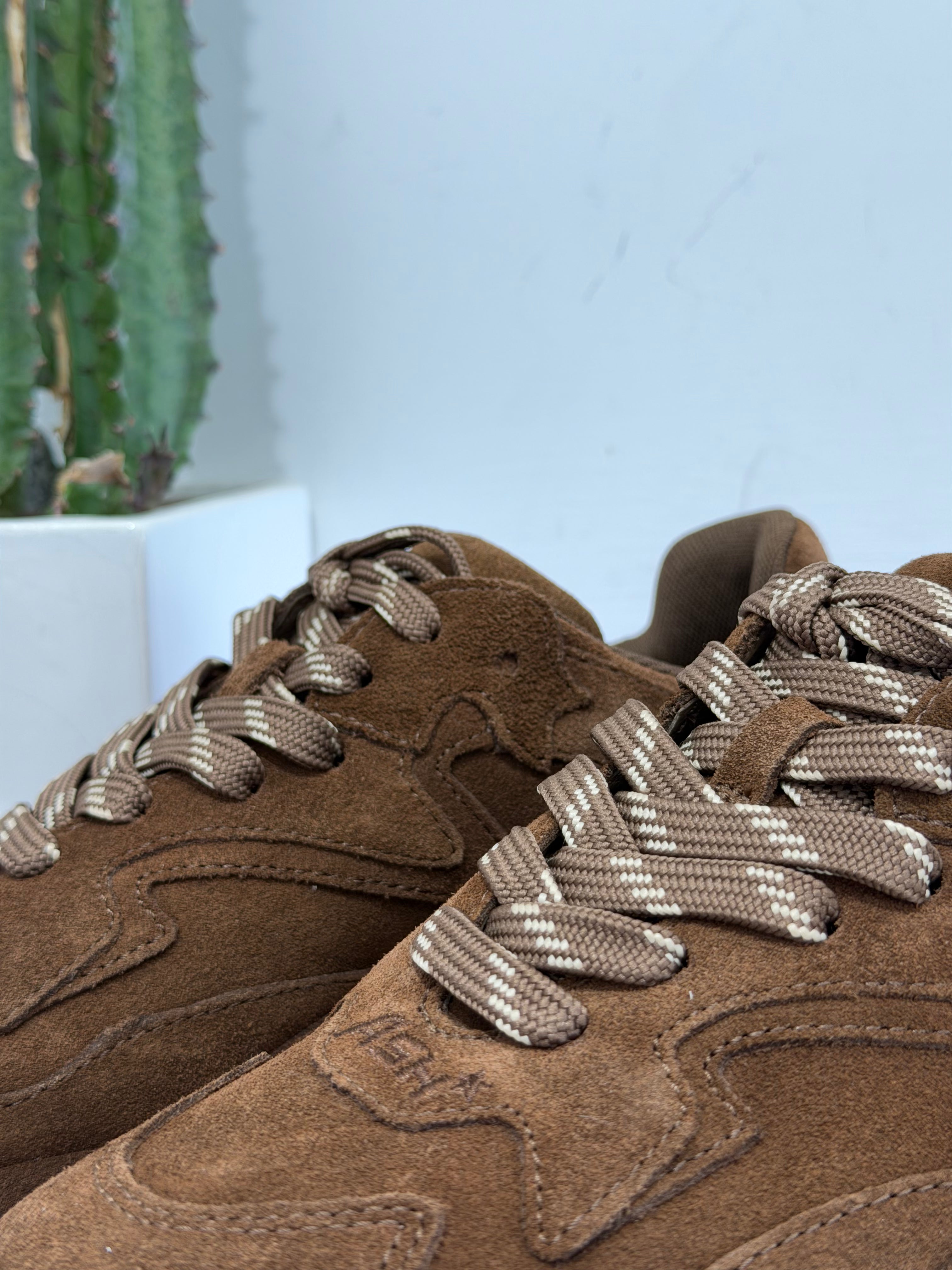 ASH sneakers ADDICT testa di moro