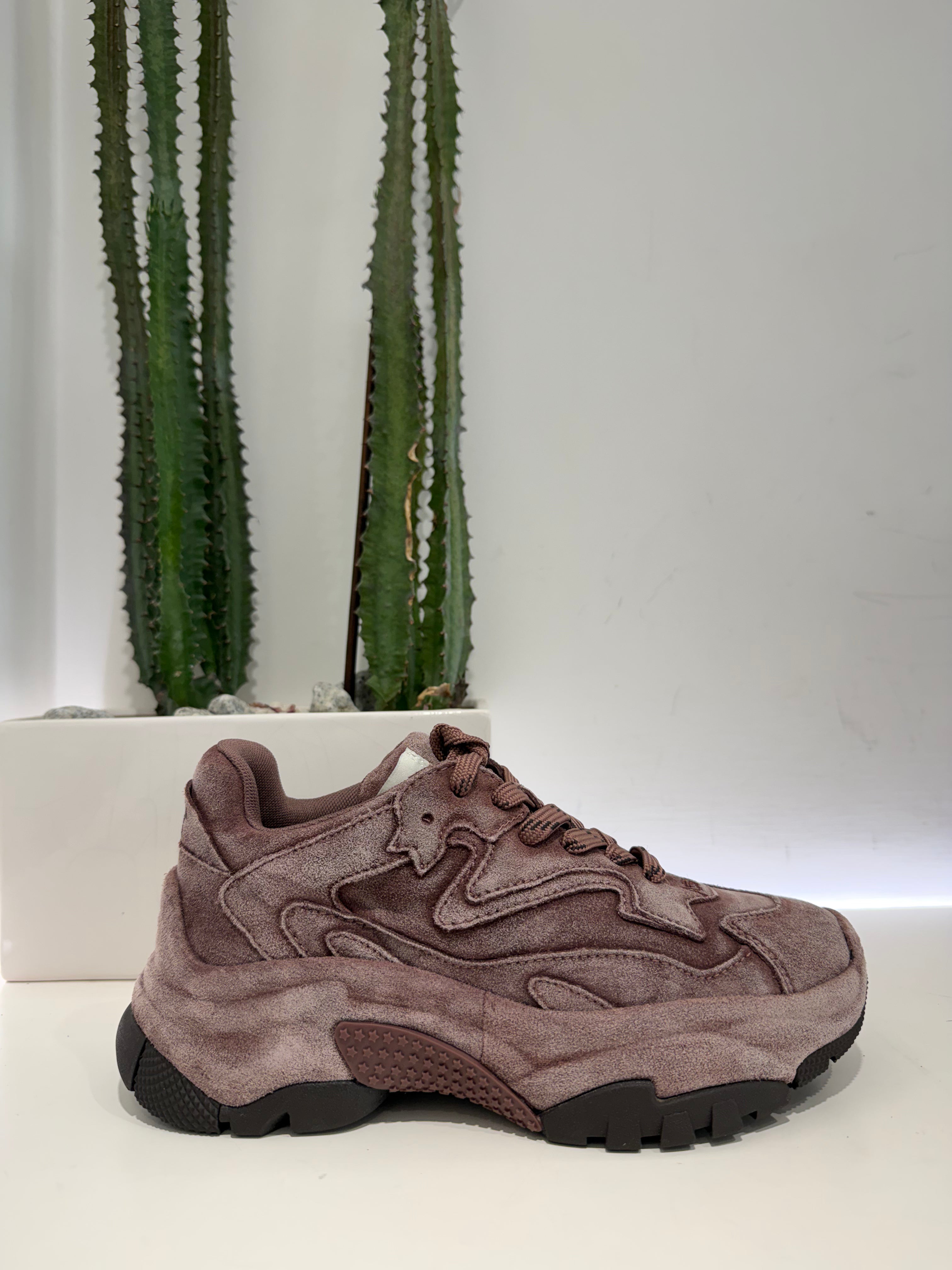 ASH sneakers ADDICT vino