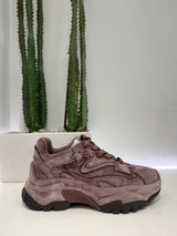 ASH sneakers ADDICT vino