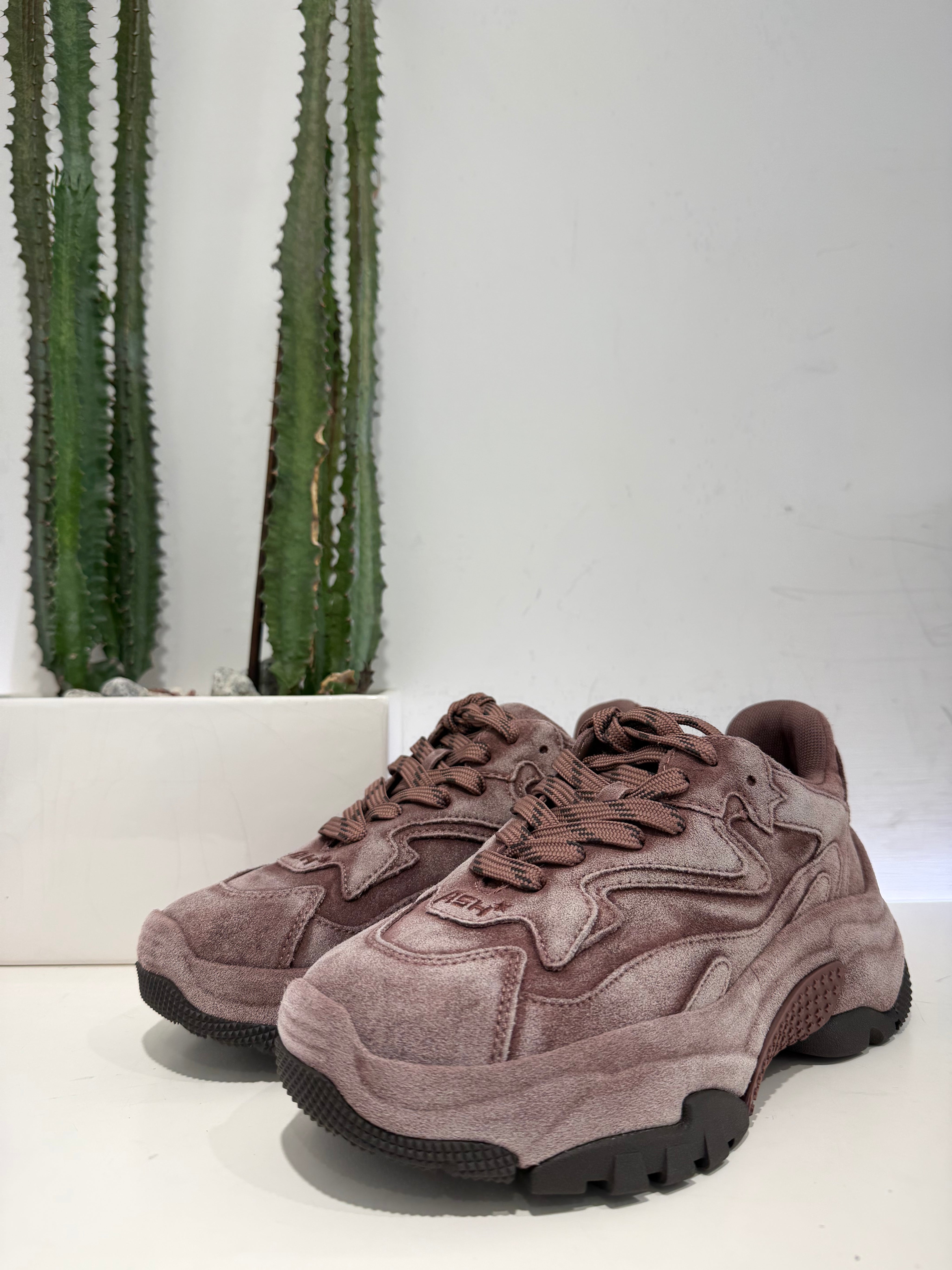 ASH sneakers ADDICT vino