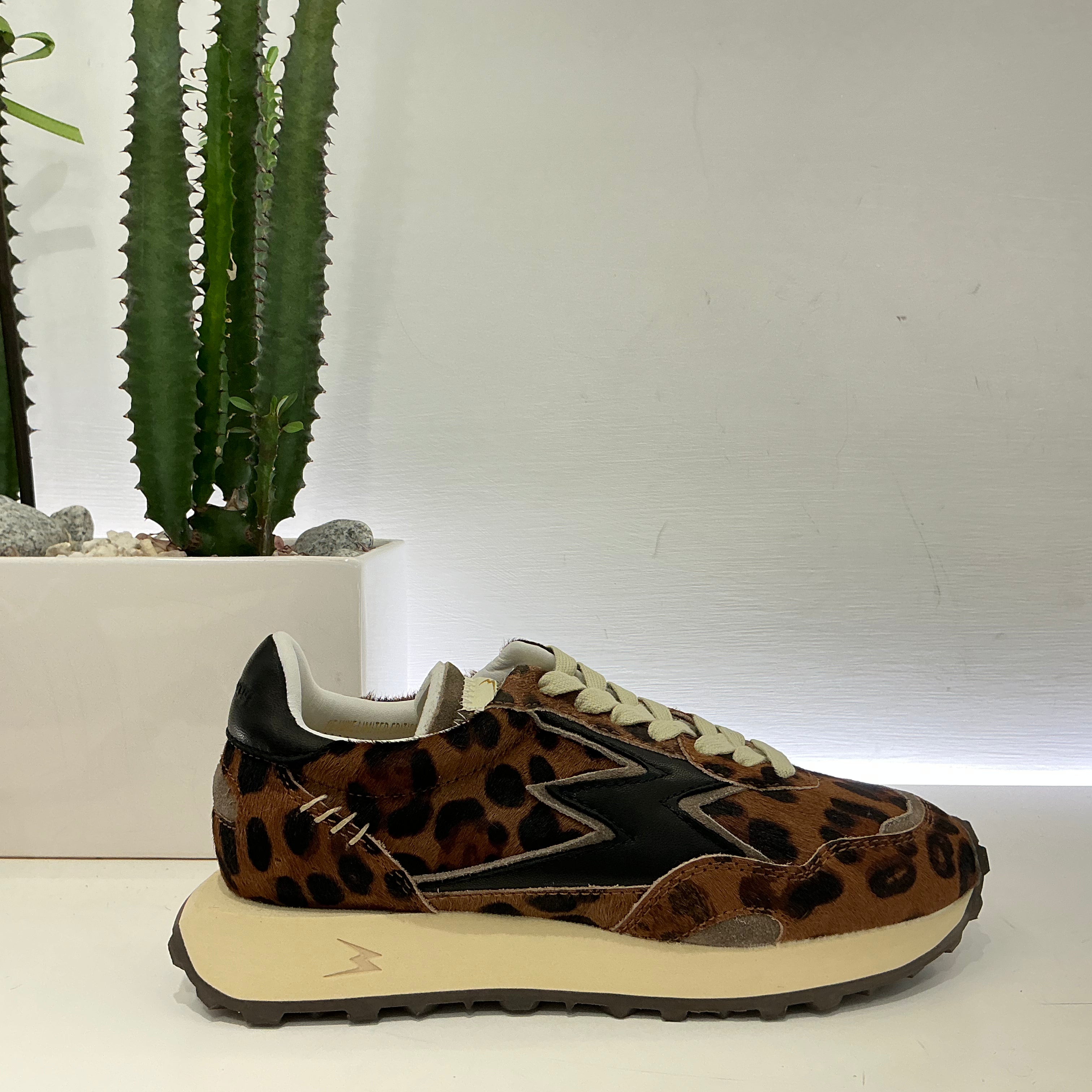 Moa sneakers modello running cavallino Leo
