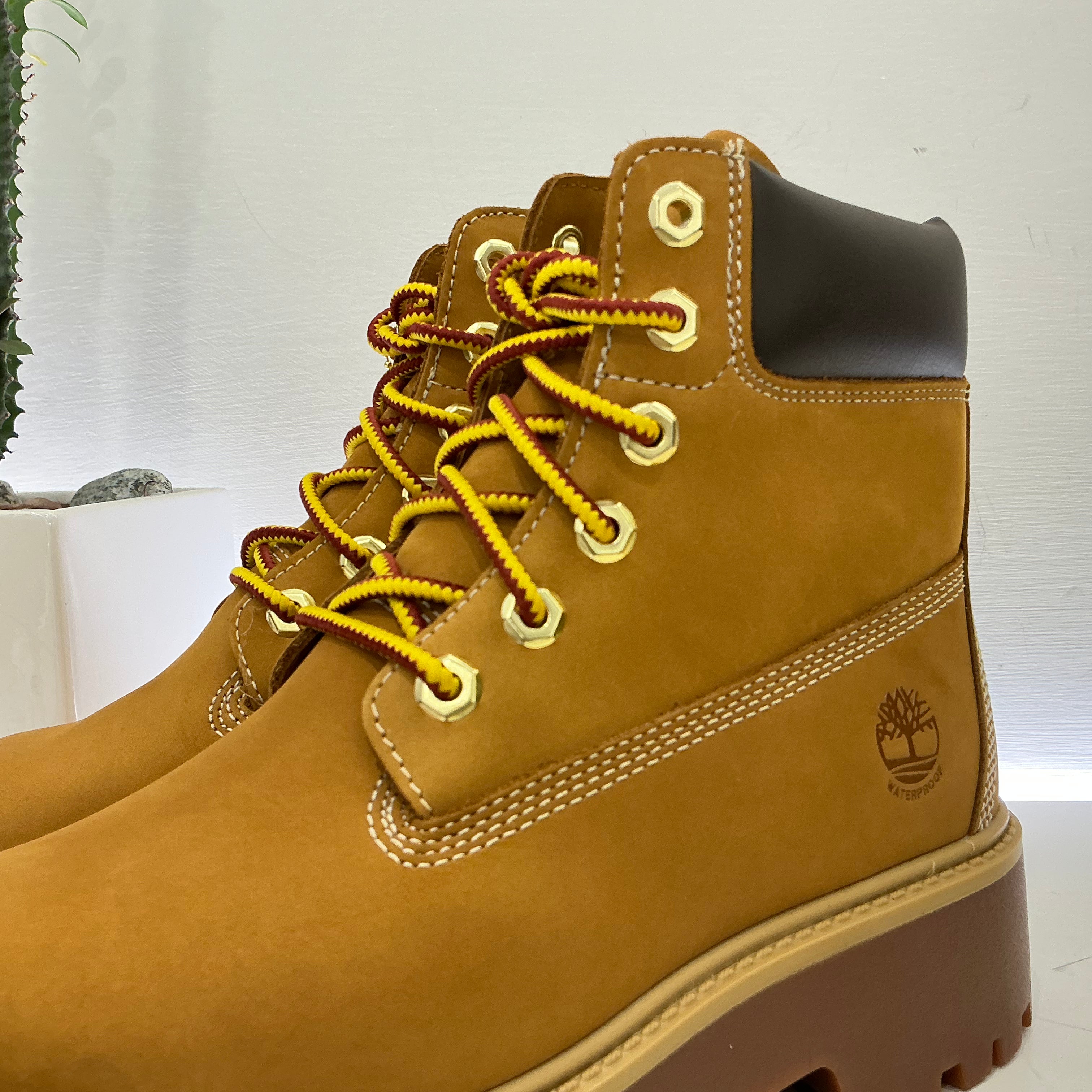 TIMBERLAND Stivaletti Stone Street 6 Inch Lace Up pelle beige