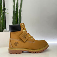TIMBERLAND Stivaletti Premium 6 in lace waterproof wheat