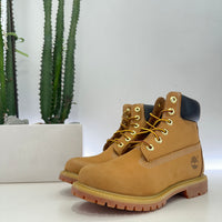 TIMBERLAND Stivaletti Premium 6 in lace waterproof wheat