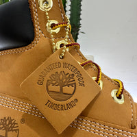 TIMBERLAND Stivaletti Premium 6 in lace waterproof wheat