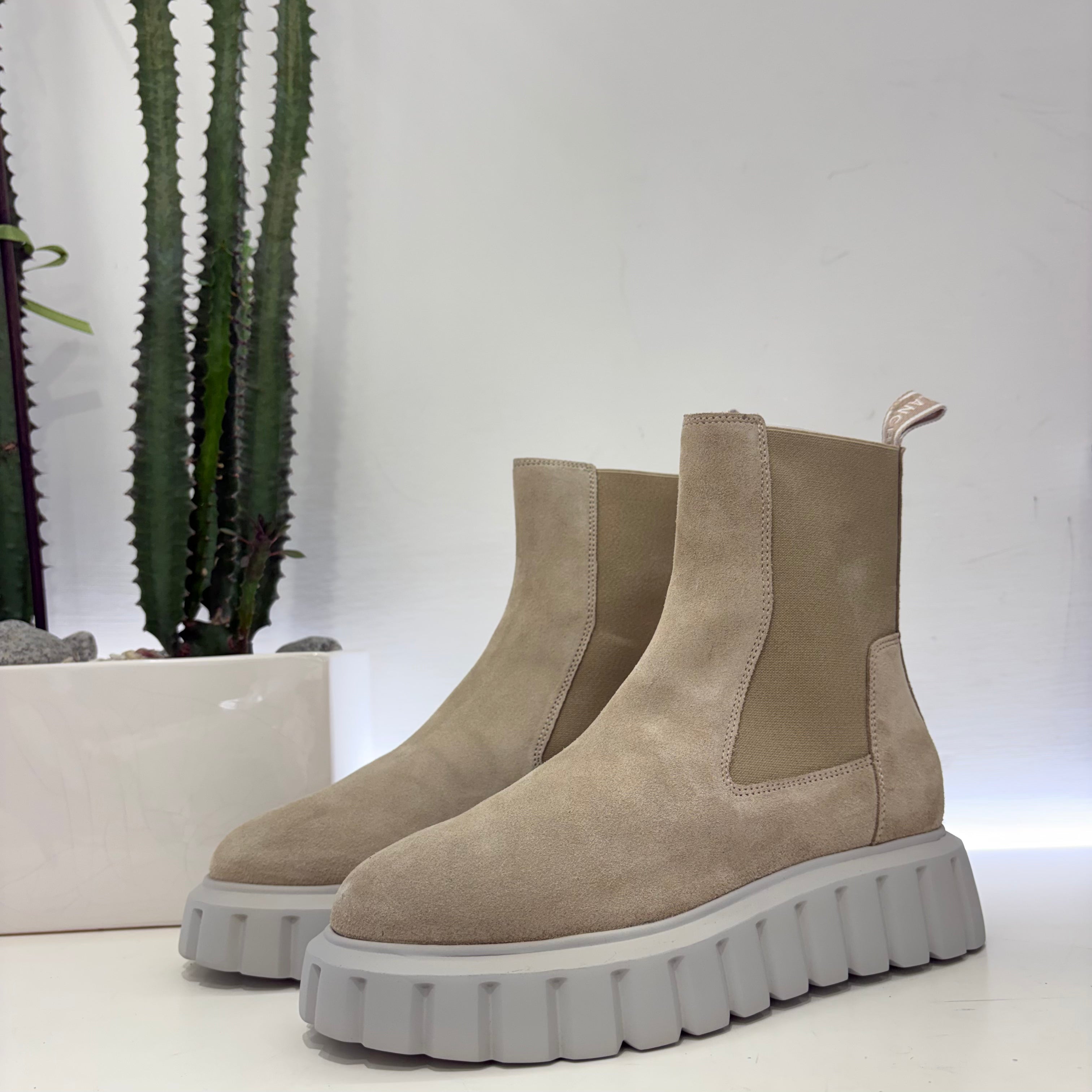 Voile Blanche beatles cam PANNA