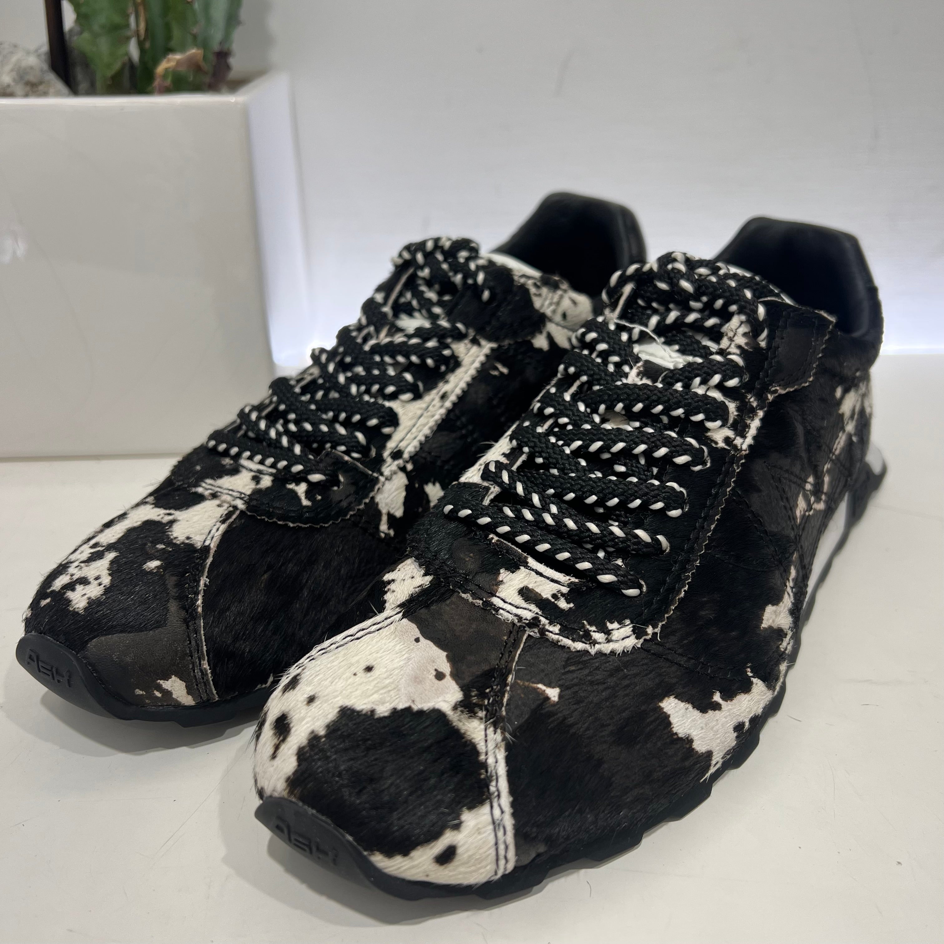 ASH sneakers FLAT KILL BILL mucca