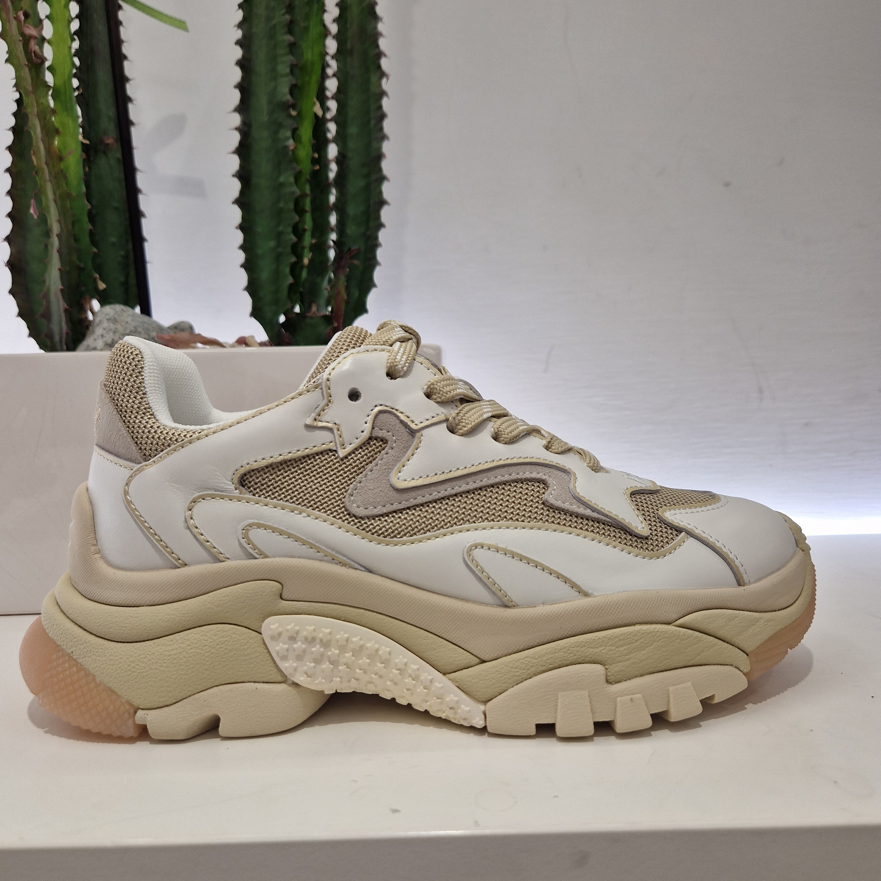 ASH sneakers ADDICT  variante gold