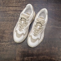 ASH sneakers ADDICT  variante gold
