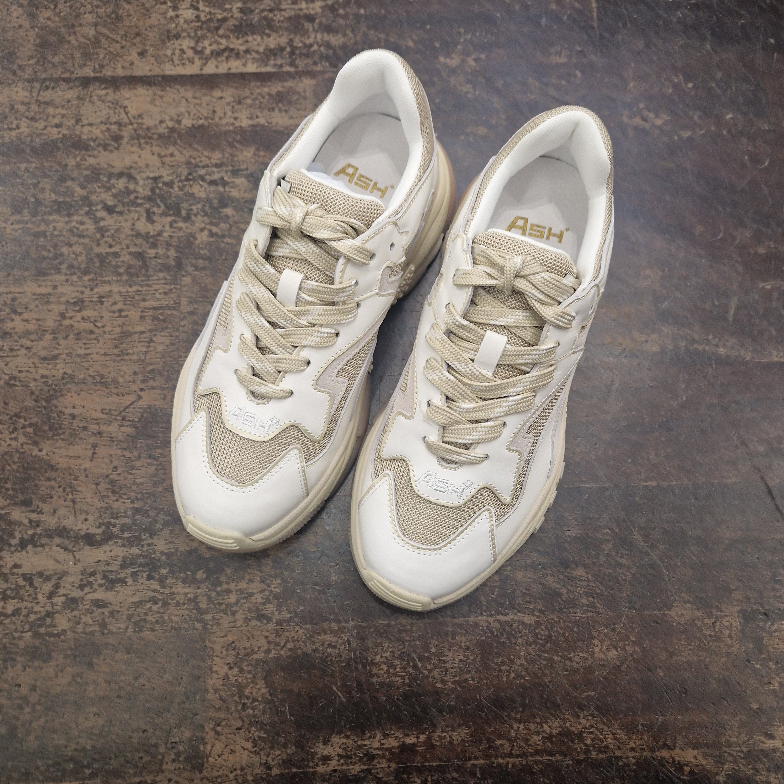 ASH sneakers ADDICT  variante gold