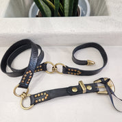 Campomaggi cintura pelle nera ANELLI  con borchie oro