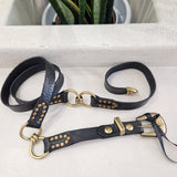 Campomaggi cintura pelle nera ANELLI  con borchie oro