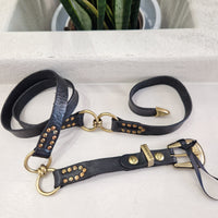 Campomaggi cintura pelle nera ANELLI  con borchie oro