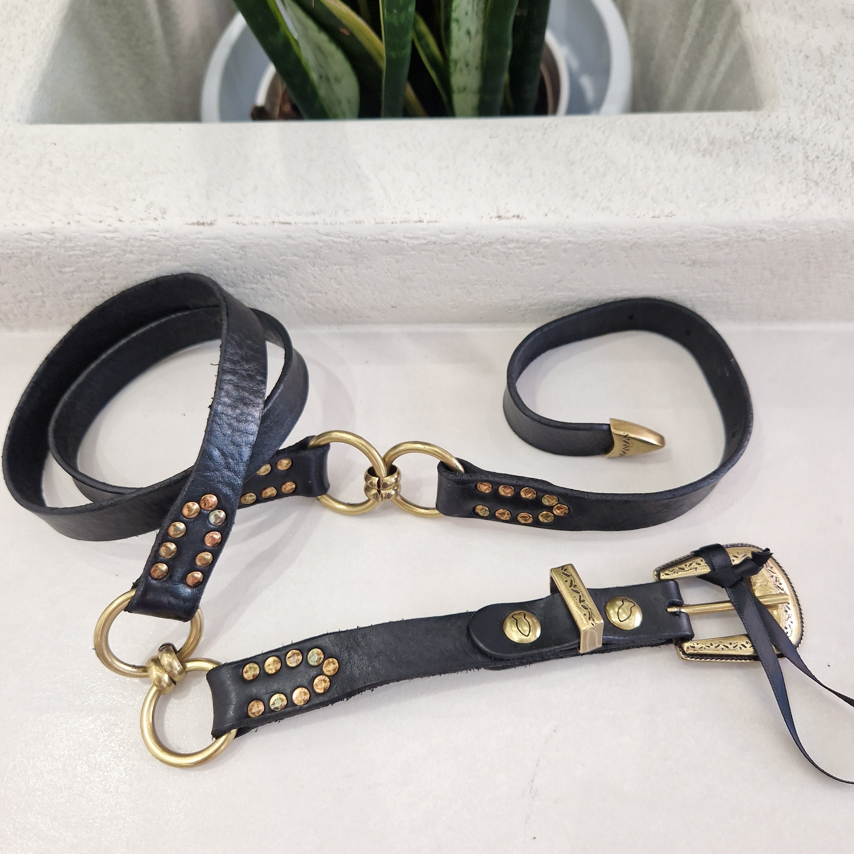 Campomaggi cintura pelle nera ANELLI  con borchie oro