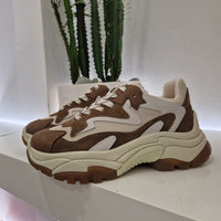 ASH sneakers ADDICT marrone e beige