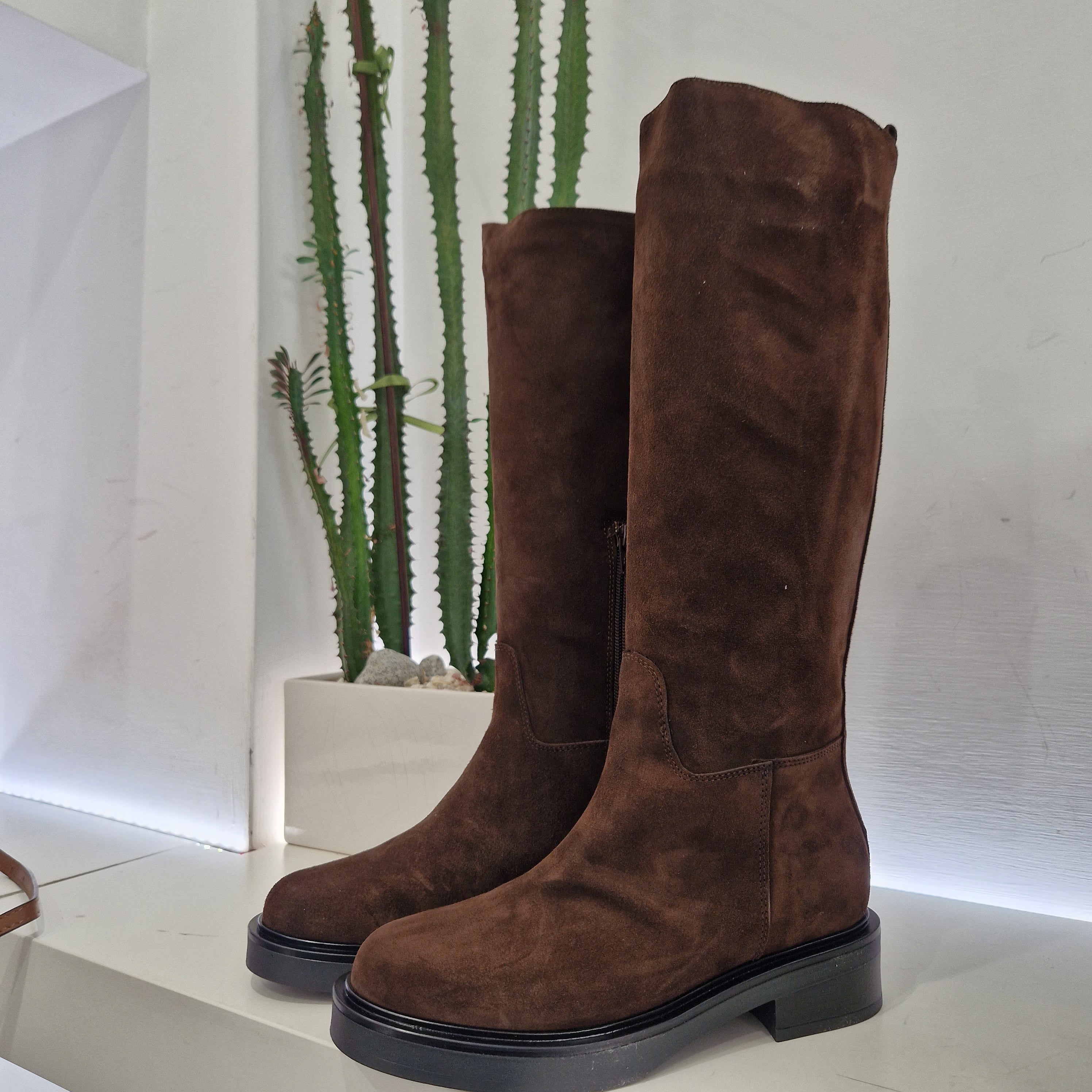 Stivale t.moro suede  modello cavallerizza
