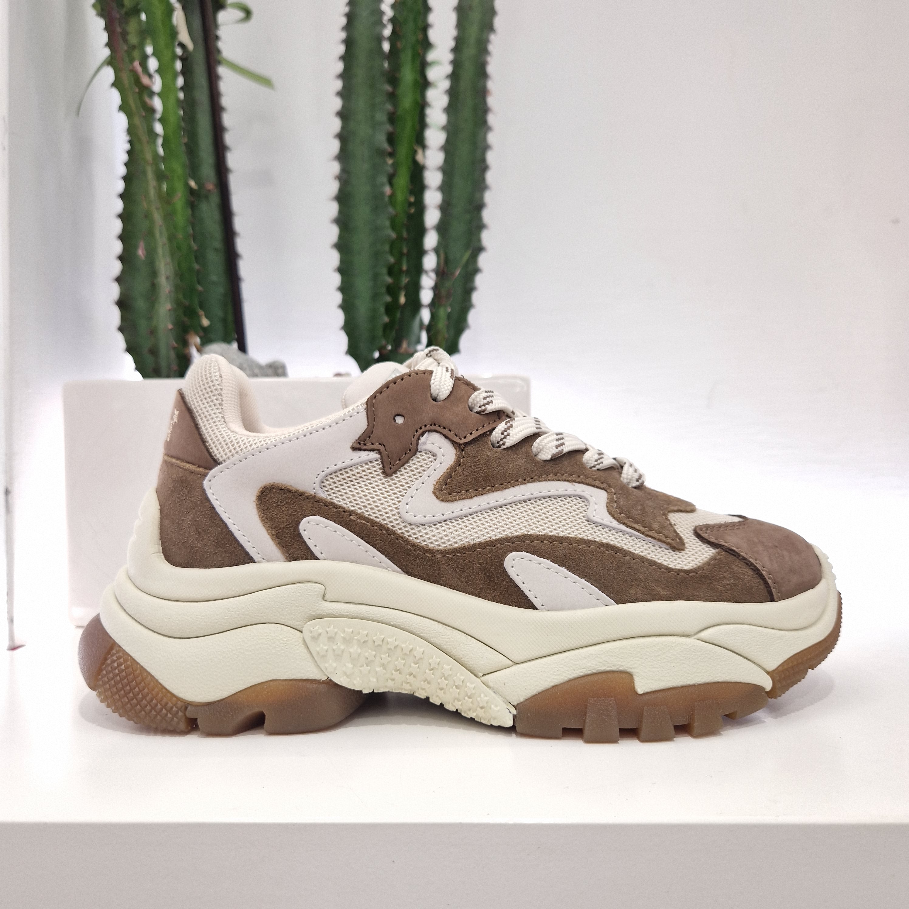 ASH sneakers ADDICT marrone e beige