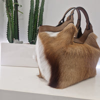 Gianni Chiarini  linea DUA media PONY