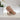 Sergio Levantesi flesh-colored pumps